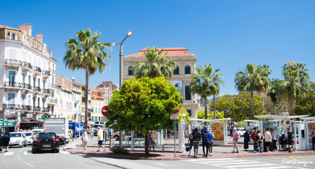 Festival de Cannes : j'ai monté les marches et je vous raconte.