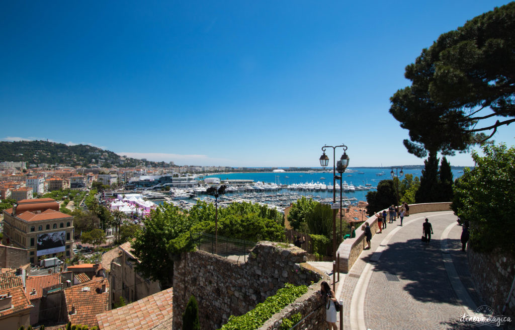 Festival de Cannes : j'ai monté les marches et je vous raconte.