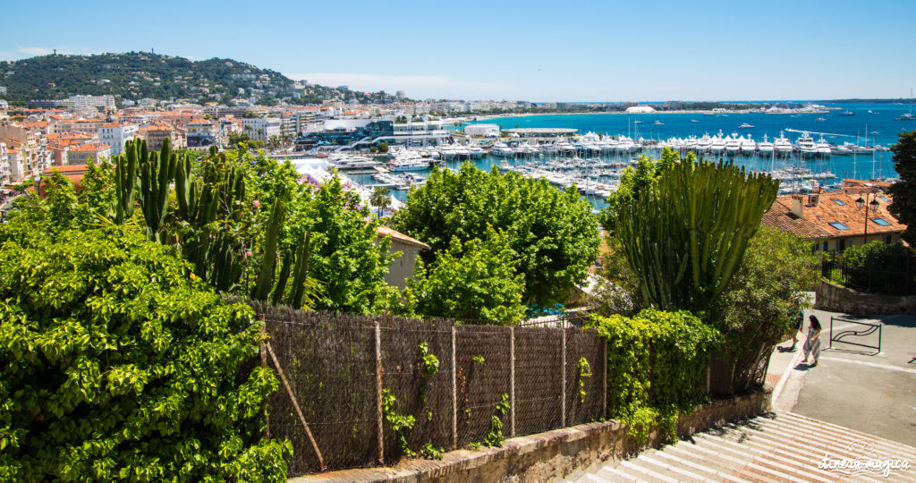 Festival de Cannes : j'ai monté les marches et je vous raconte.