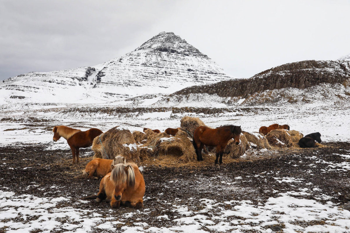 snaefellsnes en hiver islande de l'ouest en hiver