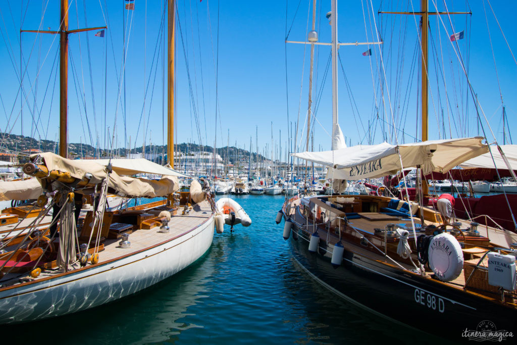 Festival de Cannes : j'ai monté les marches et je vous raconte.