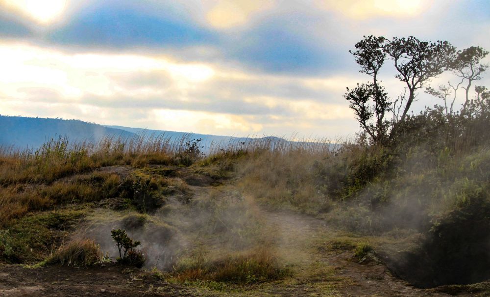 Fumerolles volcaniques qui s'échappent du sol - sur la grande île, partout la Terre respire, partout la chaleur et le souffre m'enveloppent.