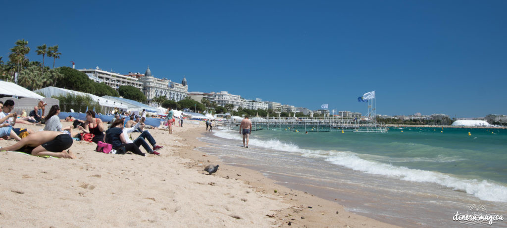 Festival de Cannes : j'ai monté les marches et je vous raconte.