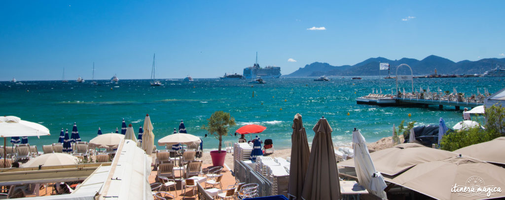 Festival de Cannes : j'ai monté les marches et je vous raconte.