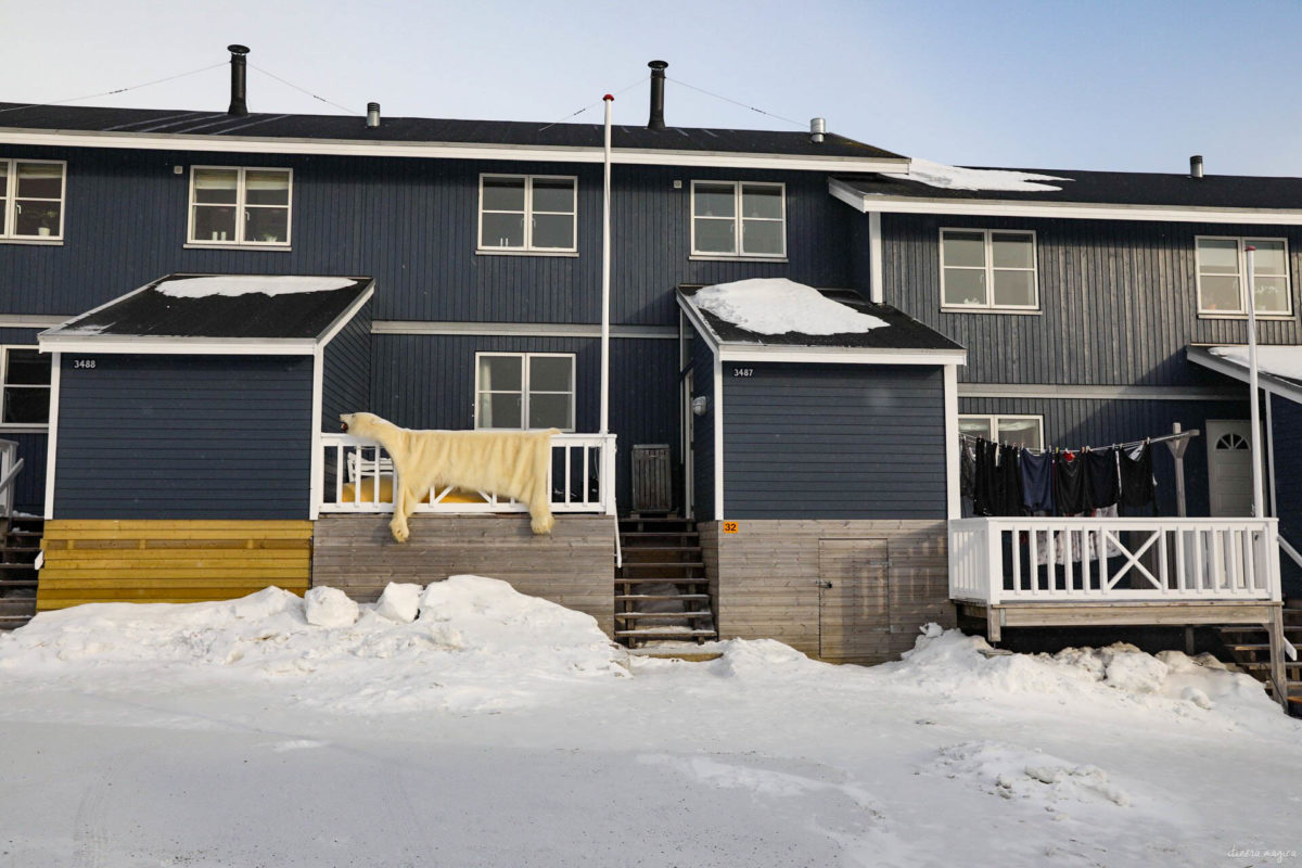 Découvrez Nuuk, capitale du Groenland. Que voir et que faire à Nuuk ? Musées, excursions dans le fjord, découverte de la montagne... Nuuk groenland blog.