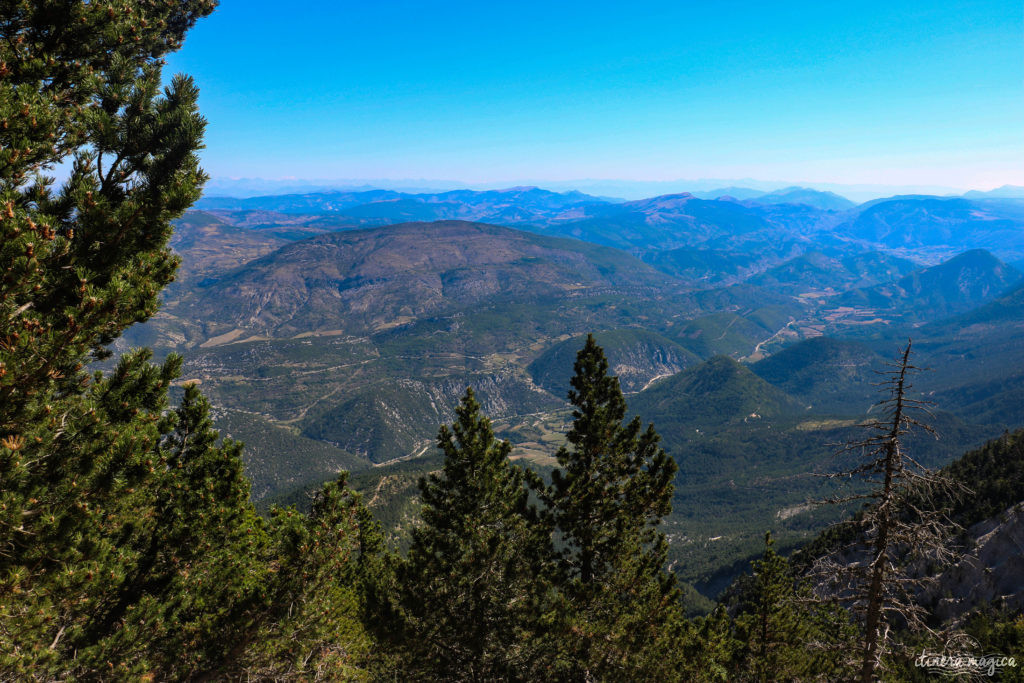 Le Mont Ventoux est le gardien de Provence, royaume du mistral et des pierres blanches. Cerisiers et secrets du Ventoux, itinéraires et voyage en photos. 