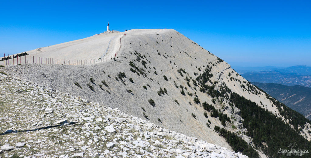 Le Mont Ventoux est le gardien de Provence, royaume du mistral et des pierres blanches. Cerisiers et secrets du Ventoux, itinéraires et voyage en photos.