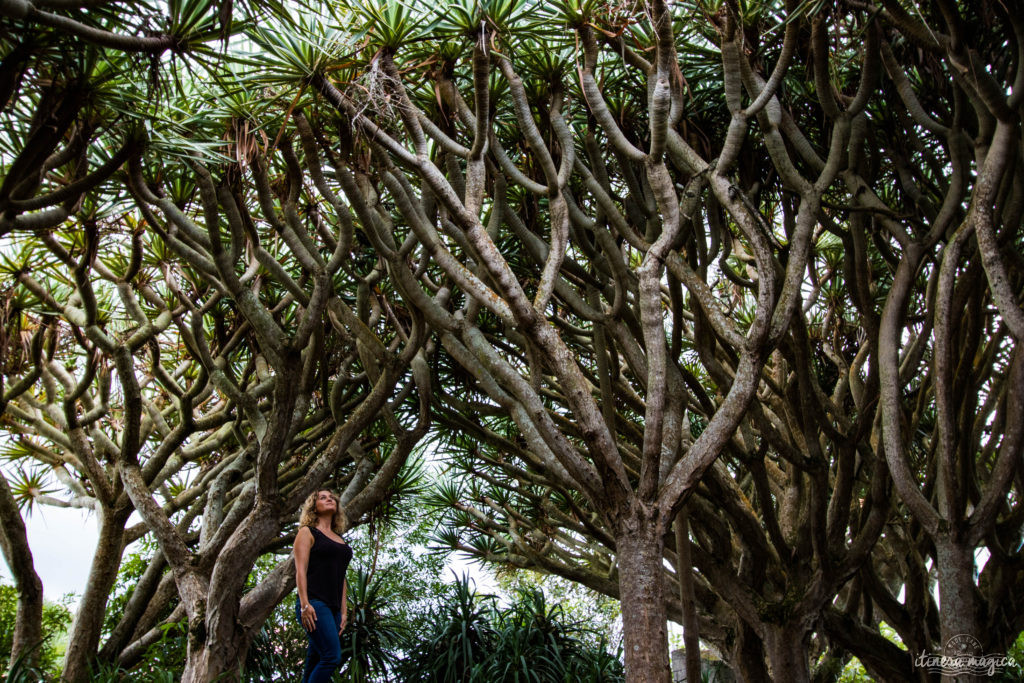 Vous ne connaissez pas les Açores? Une grande histoire d'amour vous attend. Découvrez le diamant de l'Atlantique, entre volcans, vagues et jardins. Que faire aux Açores, que voir ? Tout sur Itinera Magica, blog de voyage amoureux des lointains.