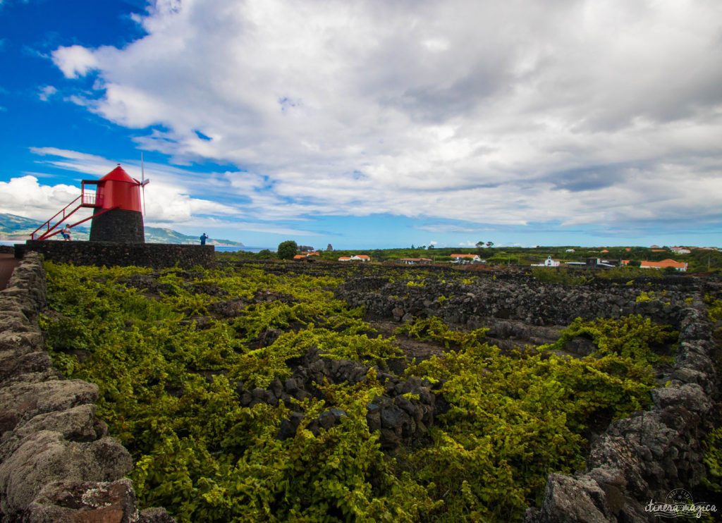 Vous ne connaissez pas les Açores? Une grande histoire d'amour vous attend. Découvrez le diamant de l'Atlantique, entre volcans, vagues et jardins. Que faire aux Açores, que voir ? Tout sur Itinera Magica, blog de voyage amoureux des lointains.