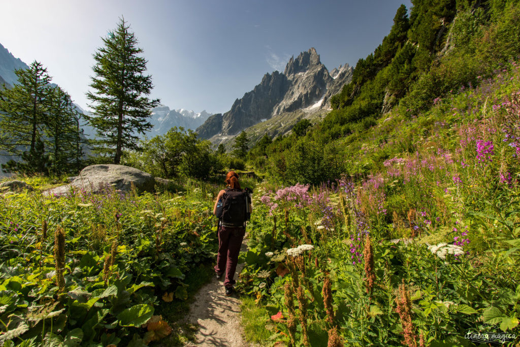 Découvrez Chamonix en été, ses glaciers, ses lacs, ses randonnées. Un week-end à Chamonix