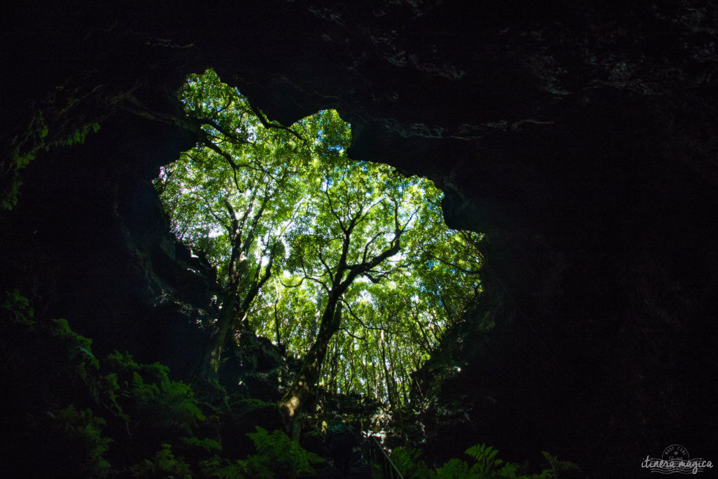 Vous ne connaissez pas les Açores? Une grande histoire d'amour vous attend. Découvrez le diamant de l'Atlantique, entre volcans, vagues et jardins. Que faire aux Açores, que voir ? Tout sur Itinera Magica, blog de voyage amoureux des lointains.