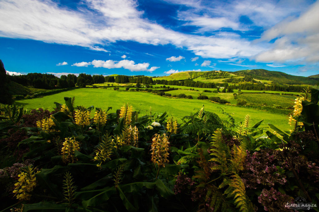 Vous ne connaissez pas les Açores? Une grande histoire d'amour vous attend. Découvrez le diamant de l'Atlantique, entre volcans, vagues et jardins. Que faire aux Açores, que voir ? Tout sur Itinera Magica, blog de voyage amoureux des lointains.