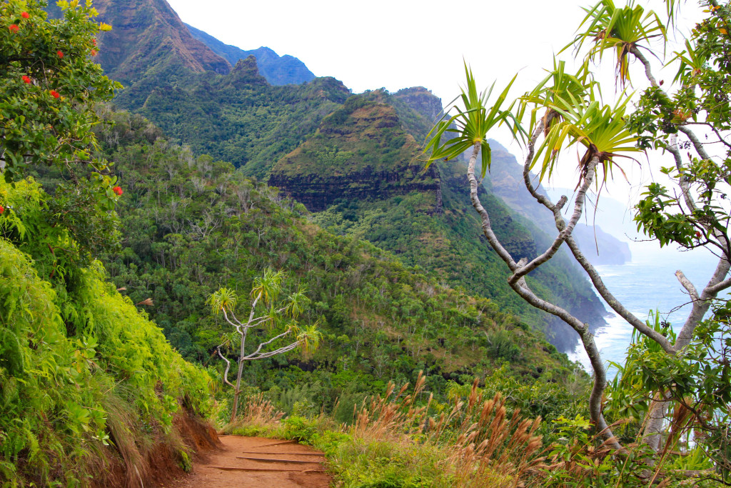 Reliefs découpés de la sublime côte Napali, sur Kauai. C’est ici que la « guerre des lépreux » a fait rage, lorsque les lépreux, menés par le guerrier Koolau, se sont cachés dans les vallées escarpées pour échapper à la déportation sur Molokai. Jack London en a tiré une nouvelle superbe.