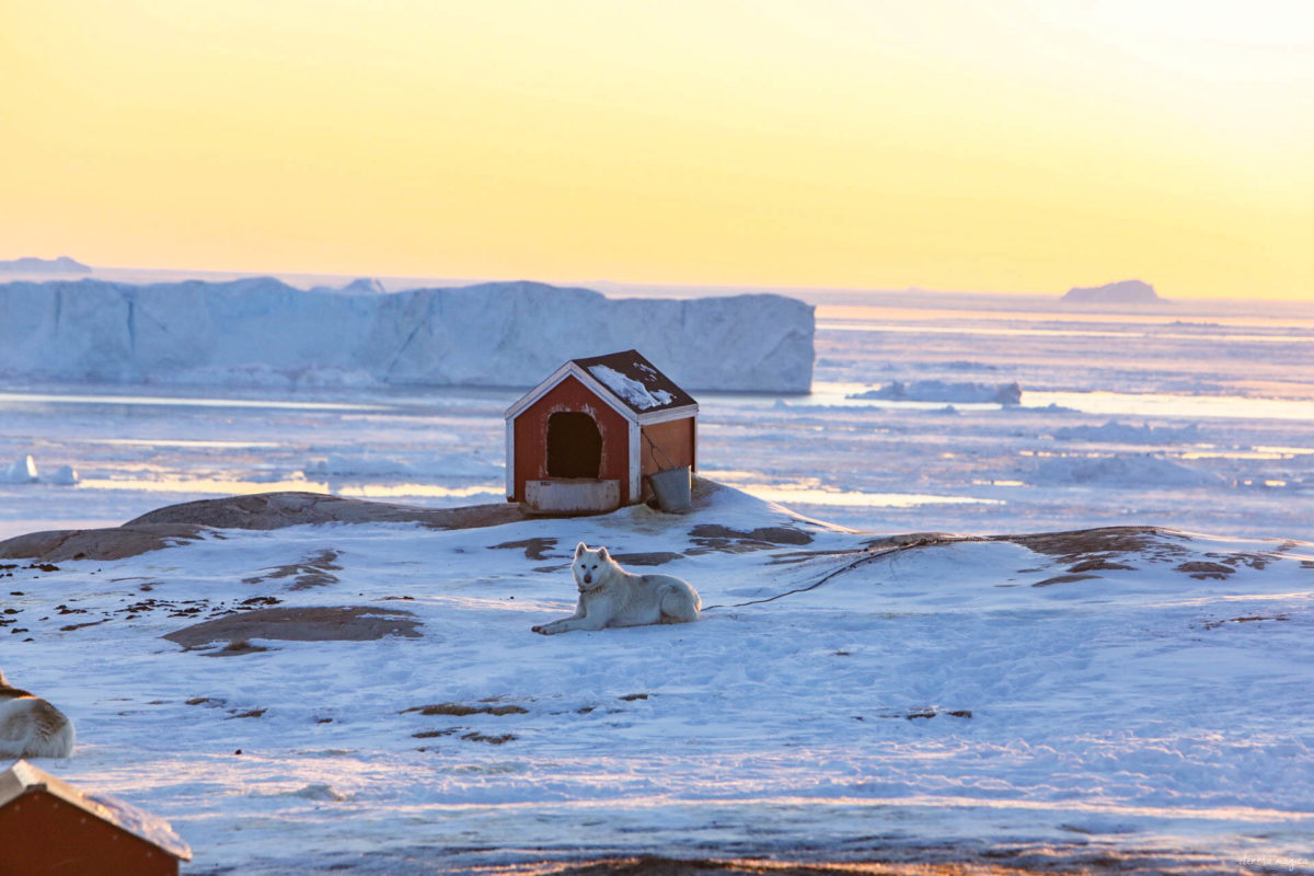 Voyage à Ilulissat et ses icebergs géants. Un incontournable lors d'un voyage au Groenland. De Paris à Ilulissat, un dépaysement total. Hôtel Ilulissat. Blog Ilulissat. Voyage Ilulissat