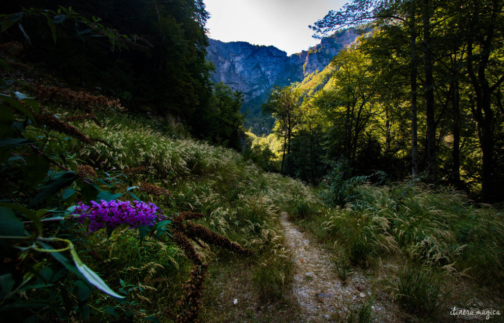 Que voir dans le Vercors et le Royans? Randonnées secrètes, cascades émeraude, routes vertigineuses, patrimoine rare, découvrez les secrets du Vercors.