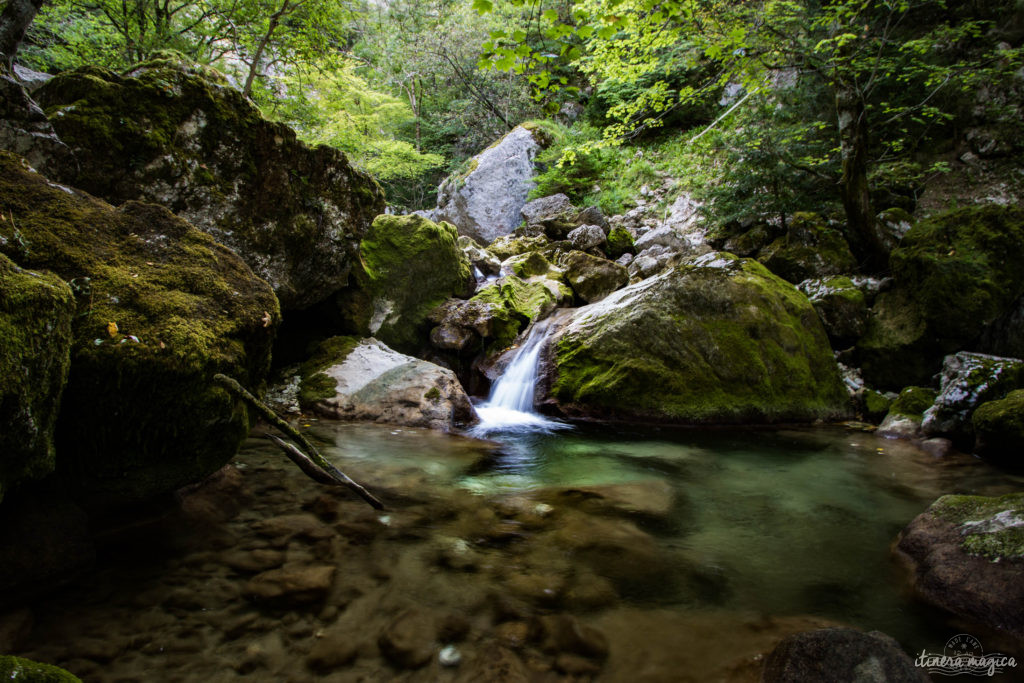 Que voir dans le Vercors et le Royans? Randonnées secrètes, cascades émeraude, routes vertigineuses, patrimoine rare, découvrez les secrets du Vercors.