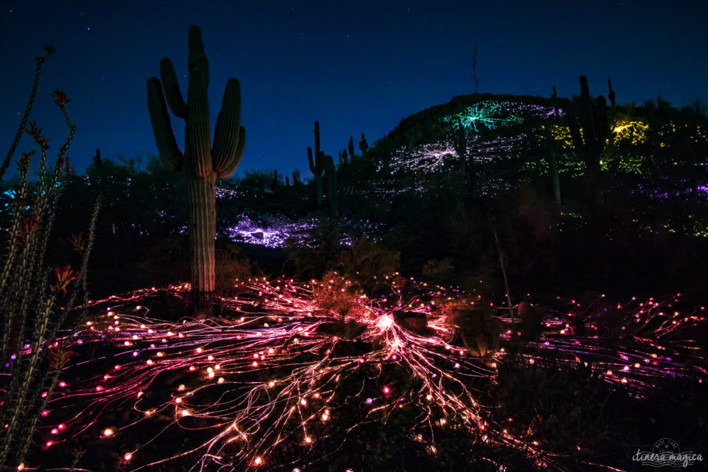 De l'Arizona à la Californie, sur la route 66, retrouvez les étapes d'un roadtrip aux USA sur Itinera Magica. La route, toujours ! 