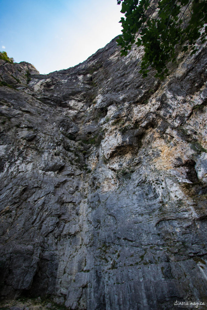 Que voir dans le Vercors et le Royans? Randonnées secrètes, cascades émeraude, routes vertigineuses, patrimoine rare, découvrez les secrets du Vercors.