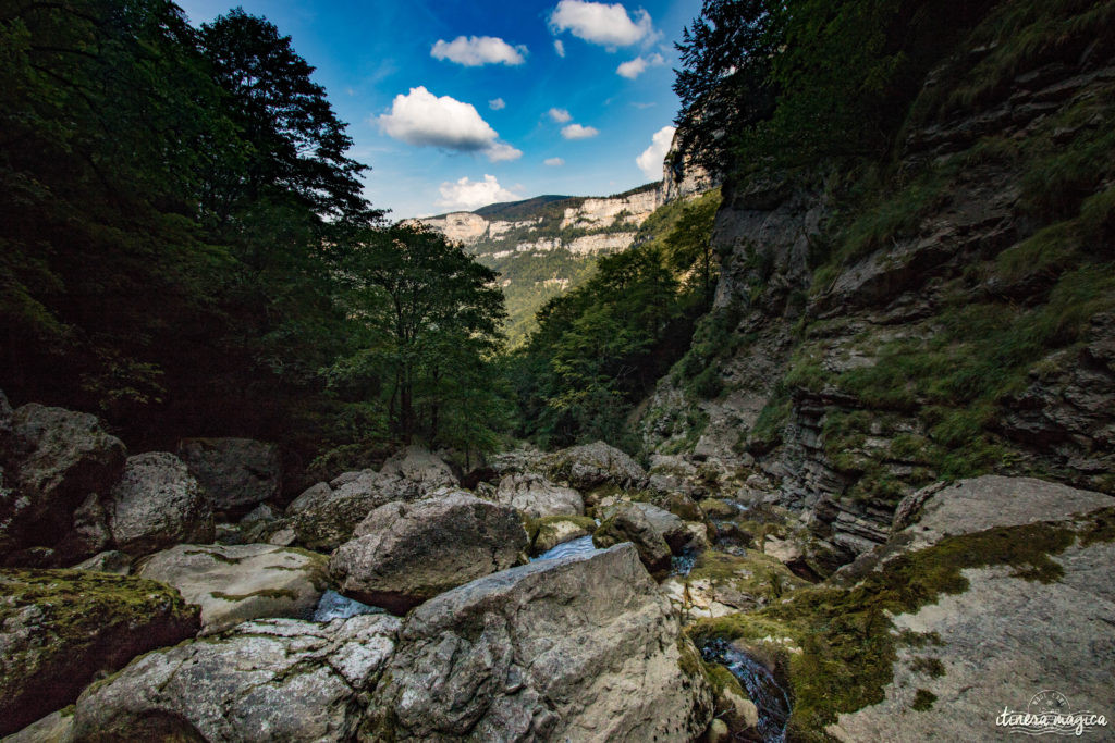 Que voir dans le Vercors et le Royans? Randonnées secrètes, cascades émeraude, routes vertigineuses, patrimoine rare, découvrez les secrets du Vercors.