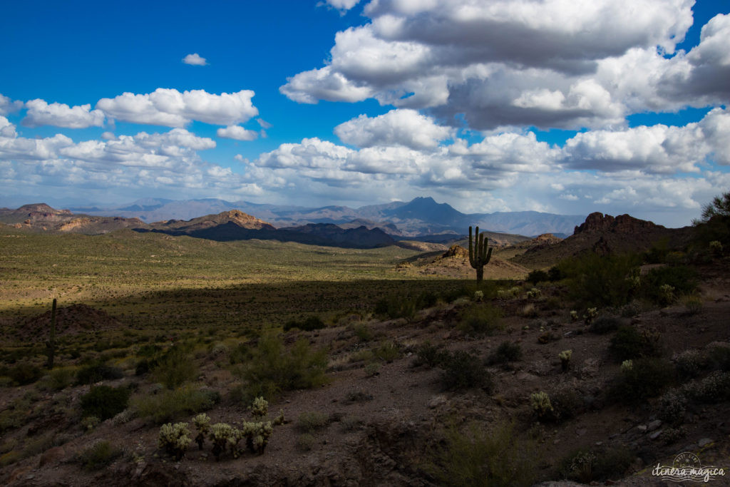 L'Apache Trail ? Une piste aussi mythique que la route 66, qui serpente dans le désert d'Arizona, et charrie toute la légende de l'Ouest ! Partez pour un road trip au pays des cactus, avec Itinera Magica.