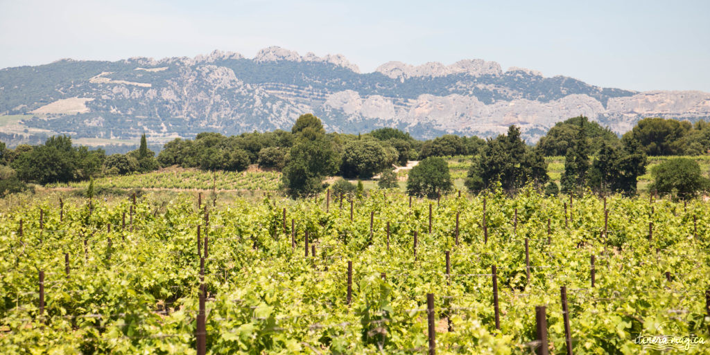 Découvrir le Vaucluse à vélo : au coeur de la Provence, entre Ventoux et Dentelles.