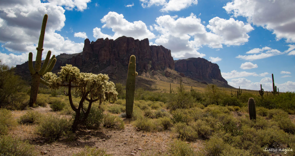 L'Apache Trail ? Une piste aussi mythique que la route 66, qui serpente dans le désert d'Arizona, et charrie toute la légende de l'Ouest ! Partez pour un road trip au pays des cactus, avec Itinera Magica.