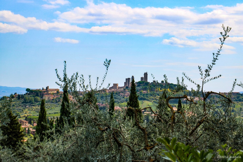 Vue sur les tours de San Gimignano, à travers les cyprès et les oliviers.