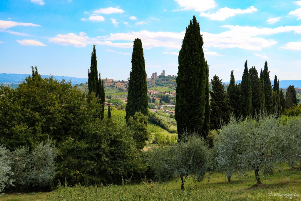 Cyprès d'encre, idylle toscane.