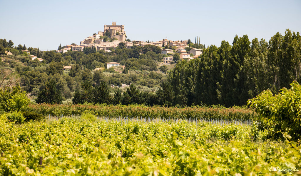 Découvrir le Vaucluse à vélo : au coeur de la Provence, entre Ventoux et Dentelles.