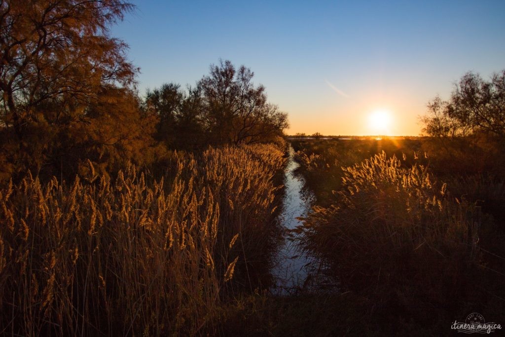 Destination romantique de Saint Valentin en Provence