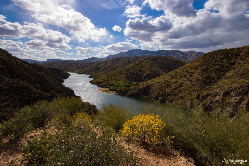 L'Apache Trail ? Une piste aussi mythique que la route 66, qui serpente dans le désert d'Arizona, et charrie toute la légende de l'Ouest ! Partez pour un road trip au pays des cactus, avec Itinera Magica.