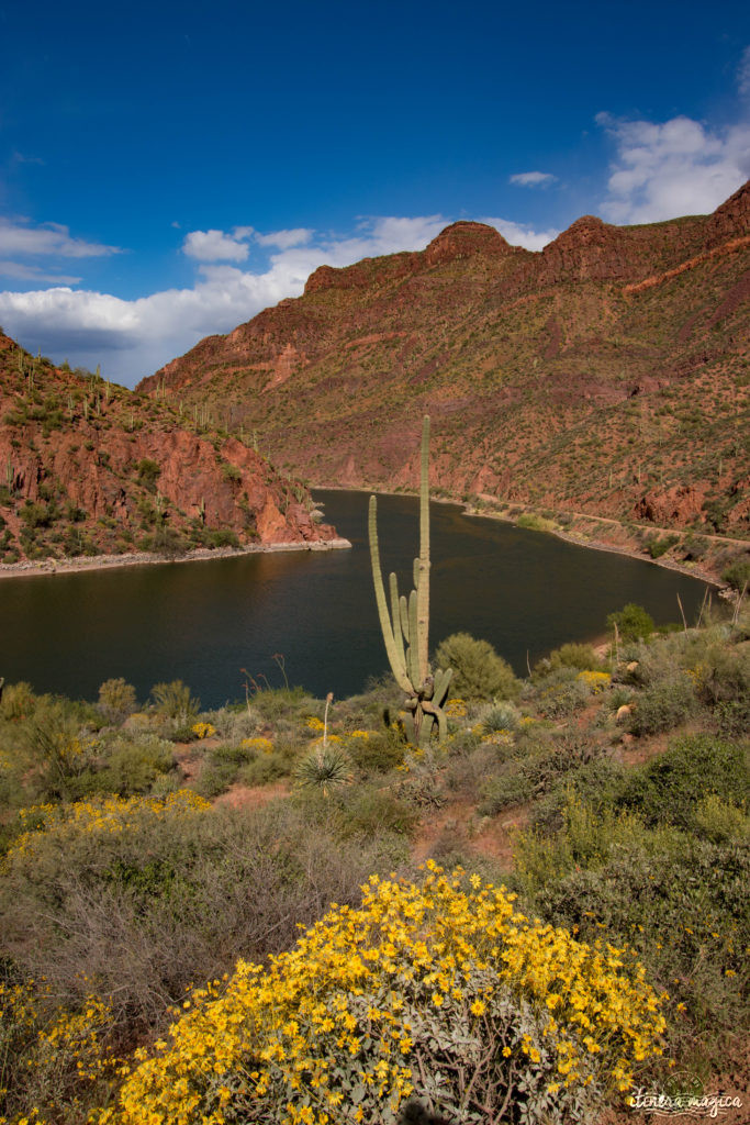 L'Apache Trail ? Une piste aussi mythique que la route 66, qui serpente dans le désert d'Arizona, et charrie toute la légende de l'Ouest ! Partez pour un road trip au pays des cactus, avec Itinera Magica.