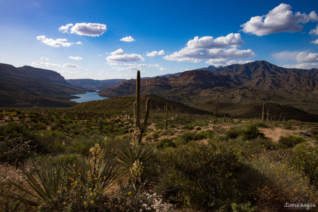 L'Apache Trail ? Une piste aussi mythique que la route 66, qui serpente dans le désert d'Arizona, et charrie toute la légende de l'Ouest ! Partez pour un road trip au pays des cactus, avec Itinera Magica.