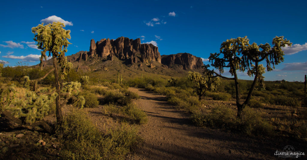 L'Apache Trail ? Une piste aussi mythique que la route 66, qui serpente dans le désert d'Arizona, et charrie toute la légende de l'Ouest ! Partez pour un road trip au pays des cactus, avec Itinera Magica.