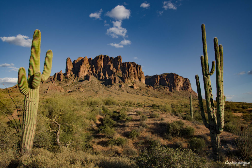 L'Apache Trail ? Une piste aussi mythique que la route 66, qui serpente dans le désert d'Arizona, et charrie toute la légende de l'Ouest ! Partez pour un road trip au pays des cactus, avec Itinera Magica.