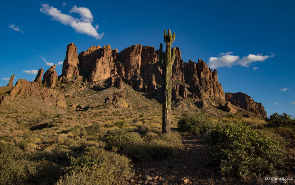 L'Apache Trail ? Une piste aussi mythique que la route 66, qui serpente dans le désert d'Arizona, et charrie toute la légende de l'Ouest ! Partez pour un road trip au pays des cactus, avec Itinera Magica.