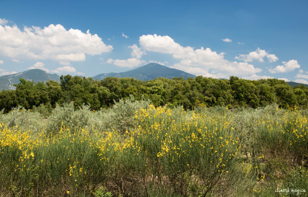 Découvrir le Vaucluse à vélo : au coeur de la Provence, entre Ventoux et Dentelles.