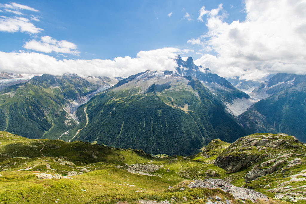 Glaciers de Chamonix. 