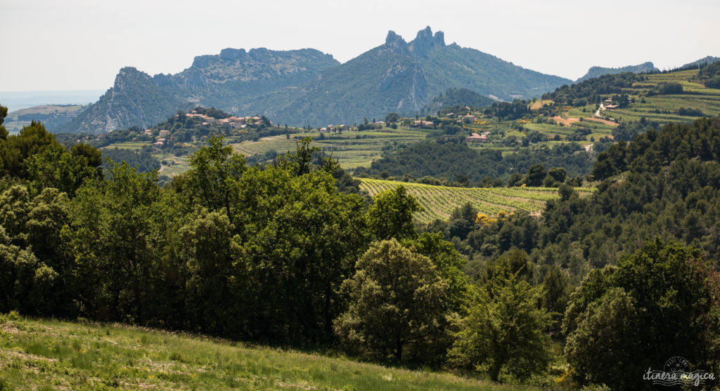 Découvrir le Vaucluse à vélo : au coeur de la Provence, entre Ventoux et Dentelles.