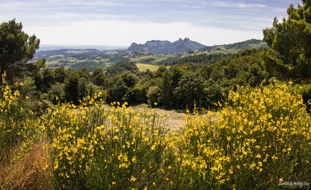 Découvrir le Vaucluse à vélo : au coeur de la Provence, entre Ventoux et Dentelles.