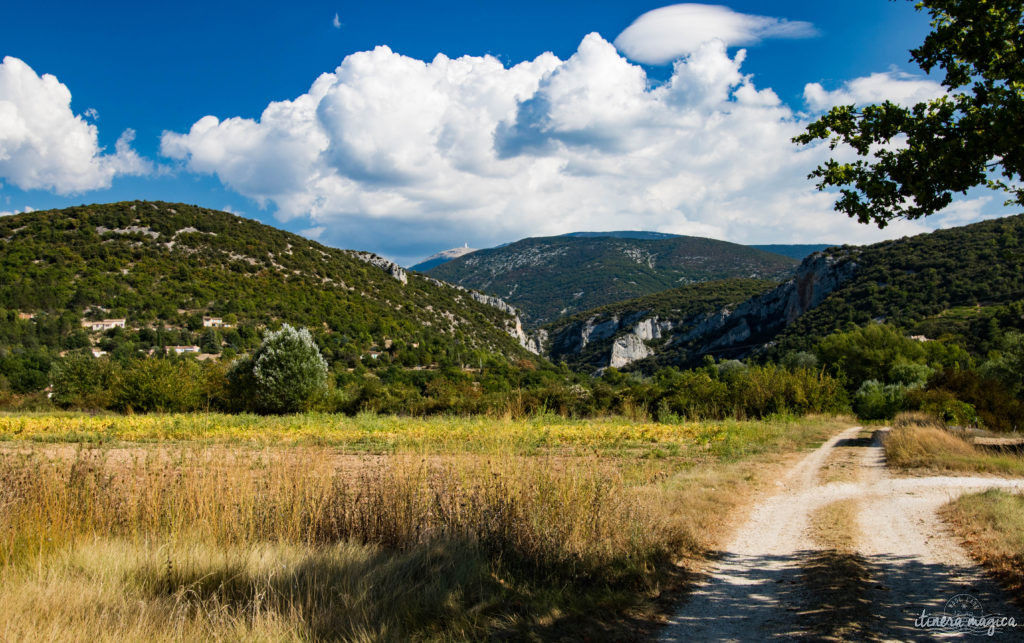 Au pied du mont Ventoux, au coeur des Baronnies, la vallée du Toulourenc et ses gorges sont un des plus beaux sites de la haute Provence. Promenade.