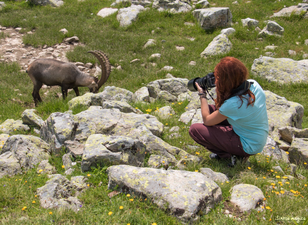 Blog sur Chamonix