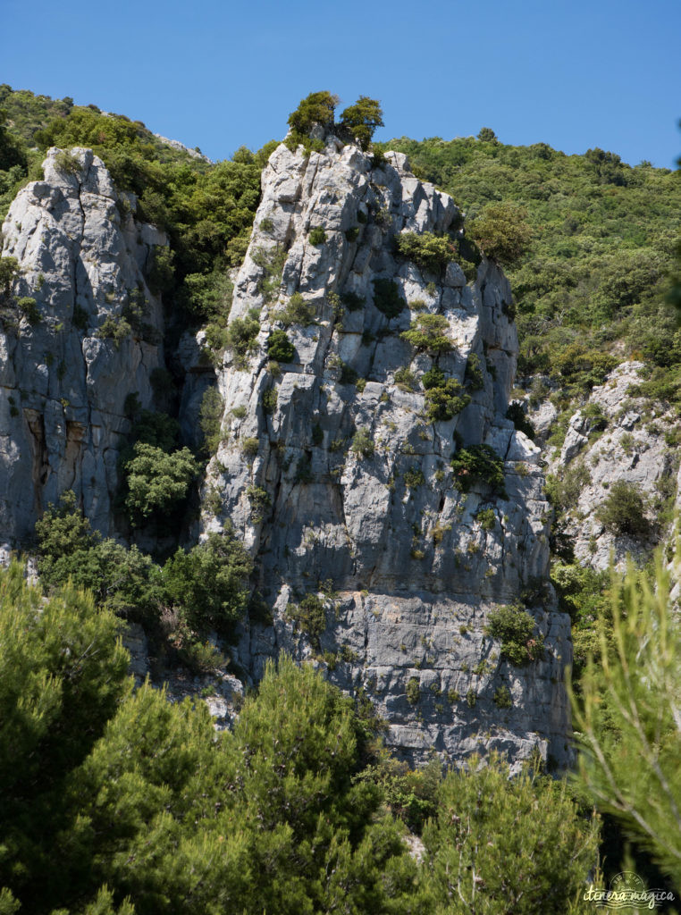 Découvrir le Vaucluse à vélo : au coeur de la Provence, entre Ventoux et Dentelles.