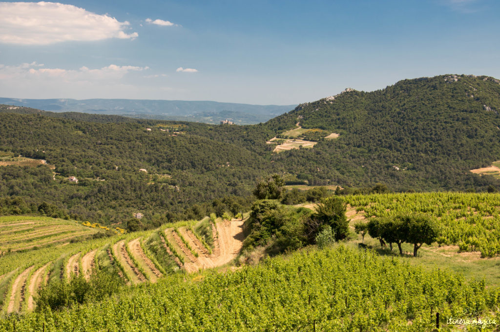 Découvrir le Vaucluse à vélo : au coeur de la Provence, entre Ventoux et Dentelles.