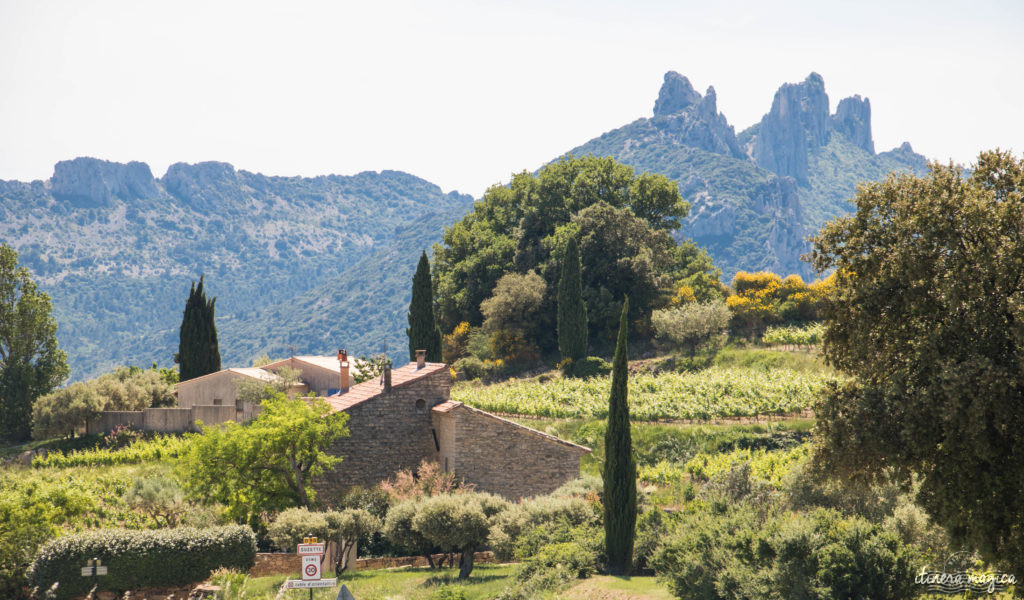 Découvrir le Vaucluse à vélo : au coeur de la Provence, entre Ventoux et Dentelles.