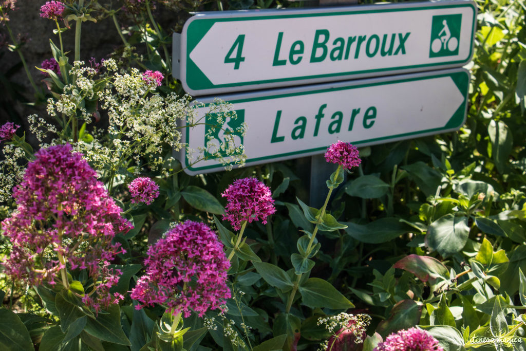 Découvrir le Vaucluse à vélo : au coeur de la Provence, entre Ventoux et Dentelles.