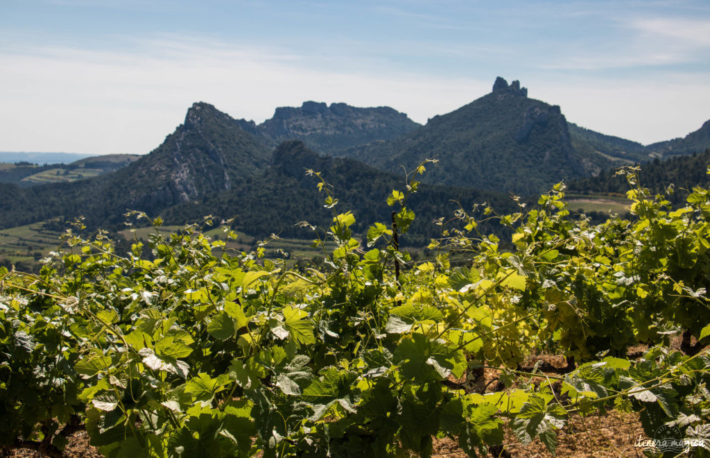 Découvrir le Vaucluse à vélo : au coeur de la Provence, entre Ventoux et Dentelles.