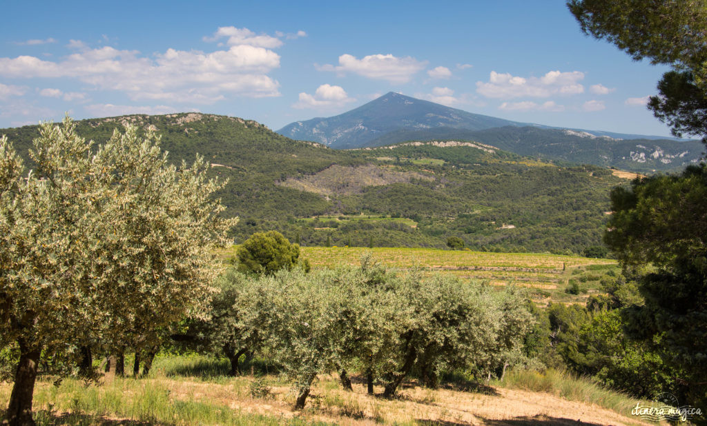 Découvrir le Vaucluse à vélo : au coeur de la Provence, entre Ventoux et Dentelles.