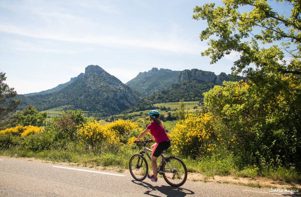 Découvrir le Vaucluse à vélo : au coeur de la Provence, entre Ventoux et Dentelles.
