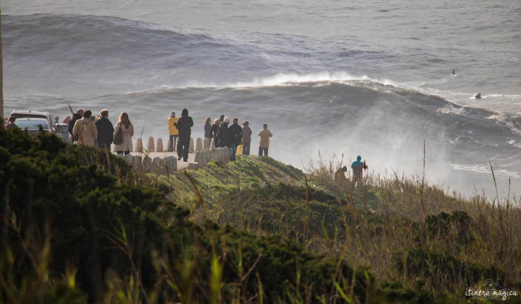 Les plus grosses vagues du monde à Nazaré. Vagues géantes Portugal. Comment voir les vagues de 30 mètres à Nazaré. Blog Nazaré surf de grosses vagues.